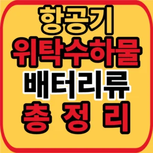 항공기 위탁수하물 배터리