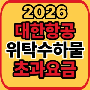 대한항공 초과요금