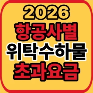항공사별 초과수하물